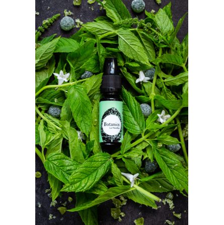 BOTANIC LA MENTHE