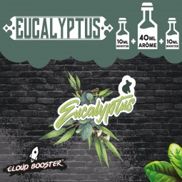 EUCALYPTUS 40ML+2*10ML BOOSTERS