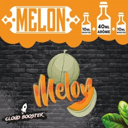 MELON 40 ML + 2*10ML BOOSTERS