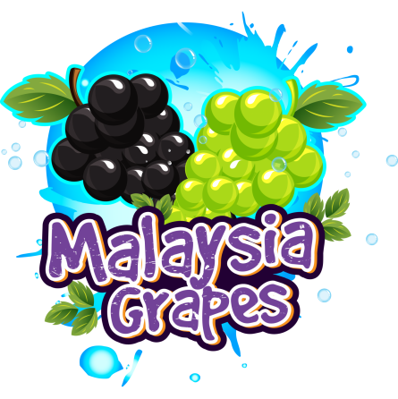MALAYSIA GRAPES 40 ML+2*10 ML BOOSTERS