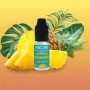 ANANAS VDLV